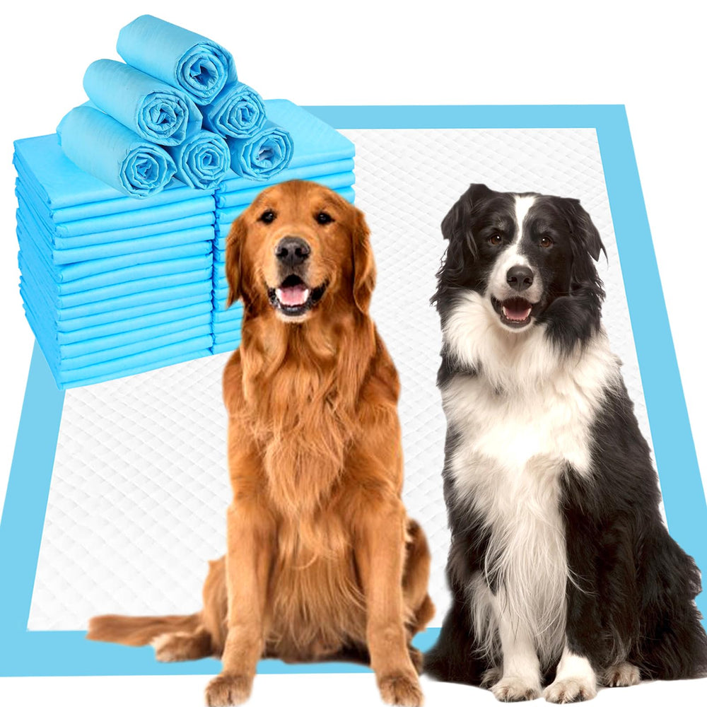 ZJYXJK 60-count dog pee pad package ready for quick training setup.