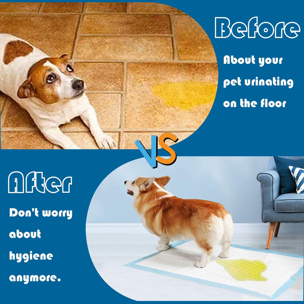 ZJYXJK dog pee pads for car trips, travel and training routines.