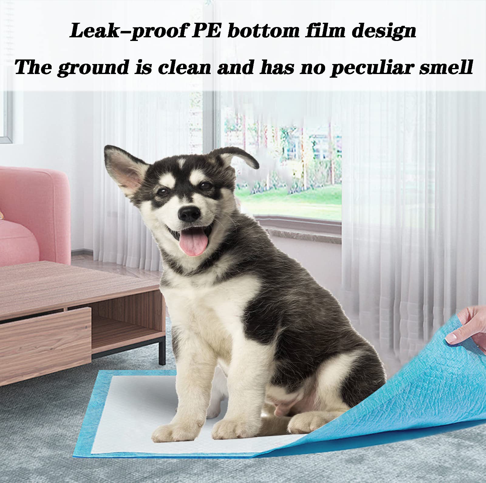 ZJYXJK eco-friendly materials offer safe disposal for pets.