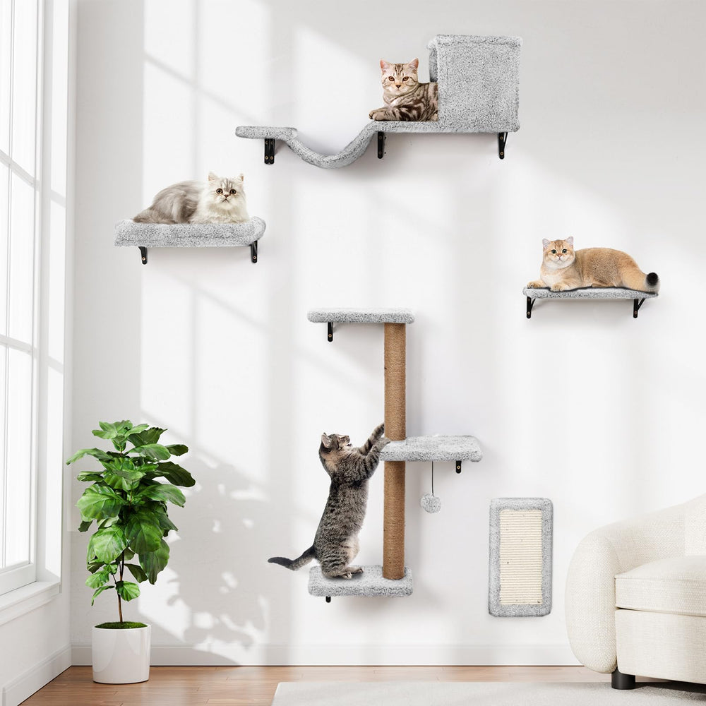 ZLAFM 5-in-1 cat wall shelves natural wood assembly demonstrates quick, stable setup for vertical play.