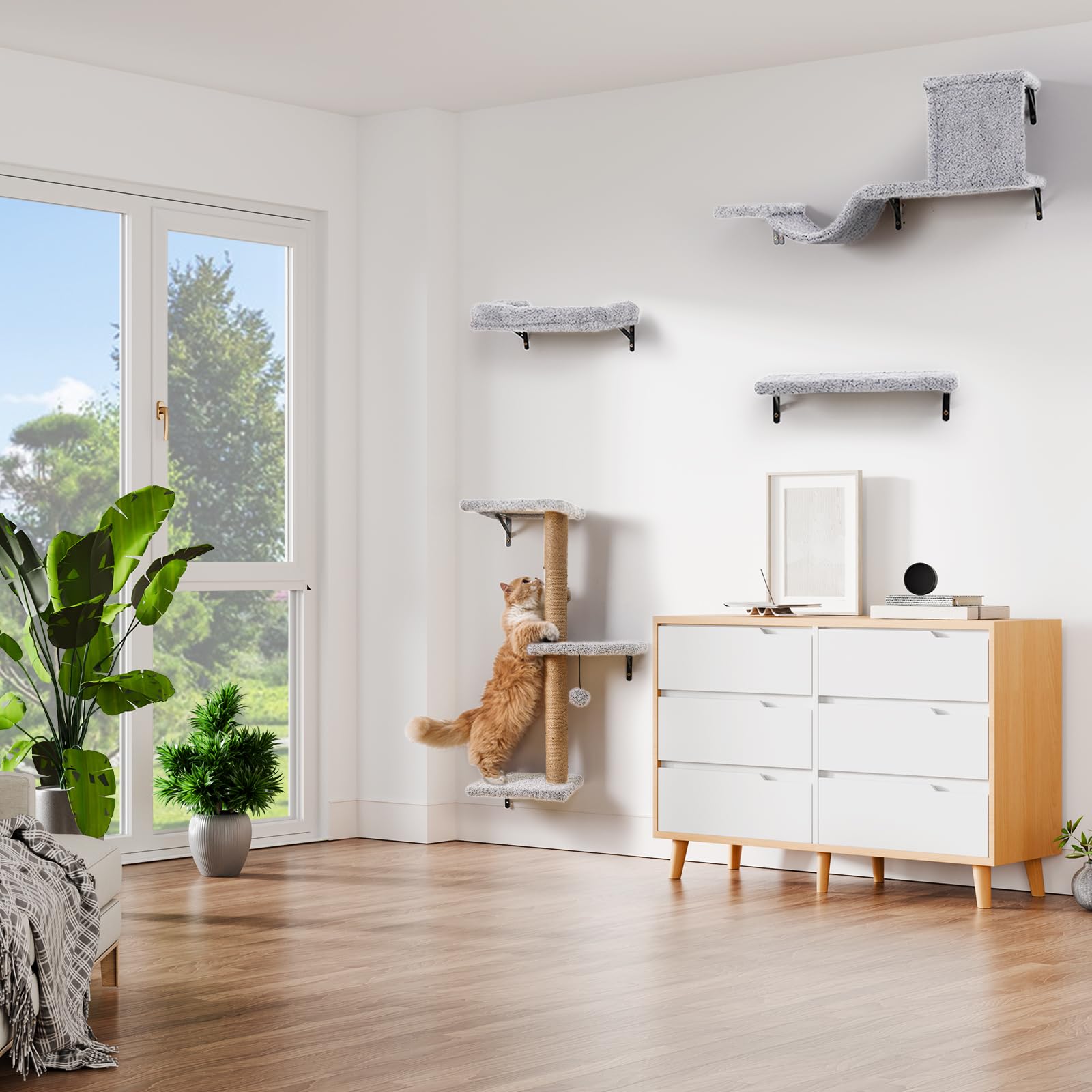 ZLAFM assembly-instructions-guide demonstrates frustration-free install.