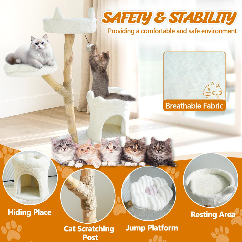 ZLAFM cat tower top condo room view emphasizes premium finish and space.