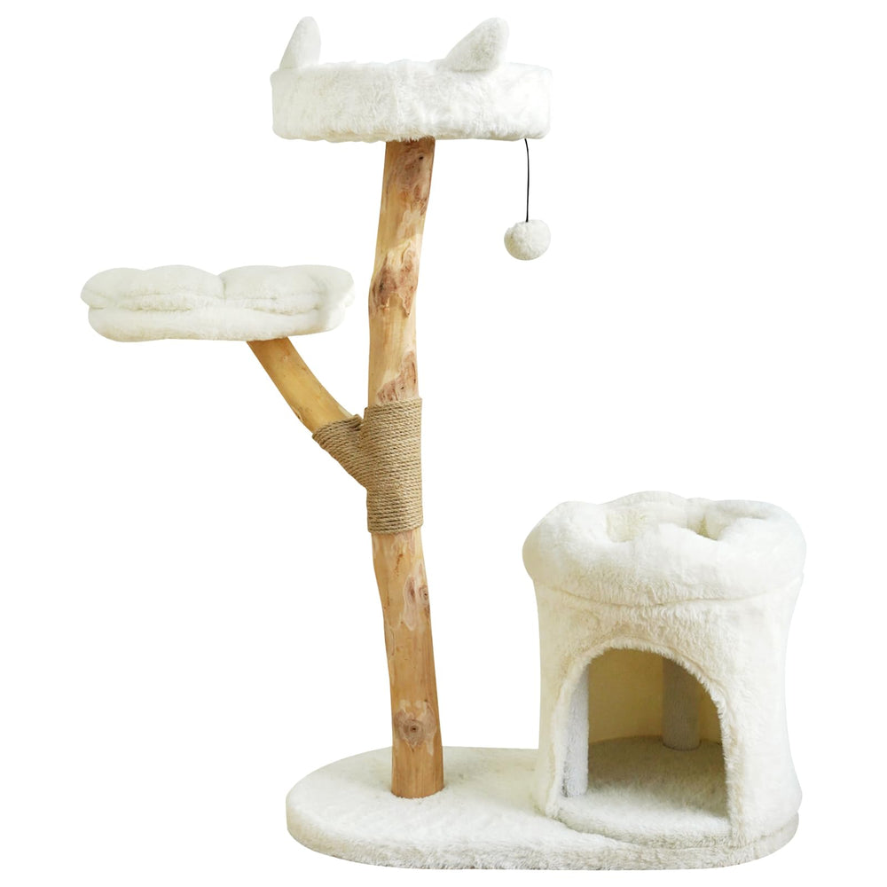 ZLAFM luxury condo image reveals comfortable retreat for indoor cats.