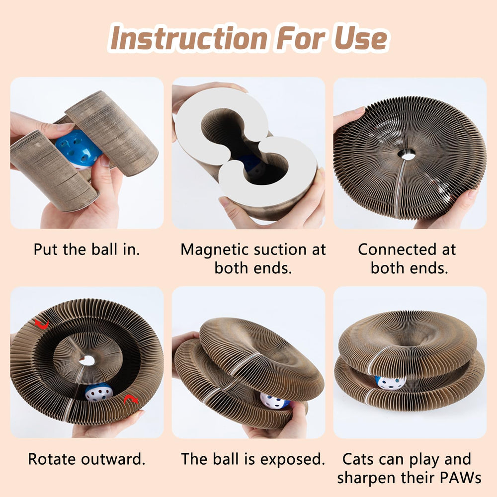 ZLAFM Magnetic Magic Organ 2-pack unpacked for collaborative play and shared enrichment.