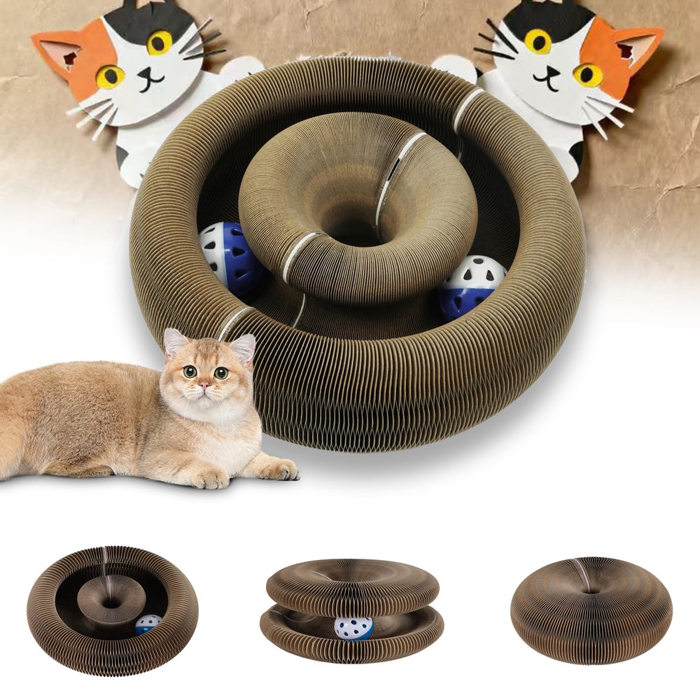 ZLAFM Magnetic Magic Organ cat-scratcher set-up for interactive play and feline curiosity.
