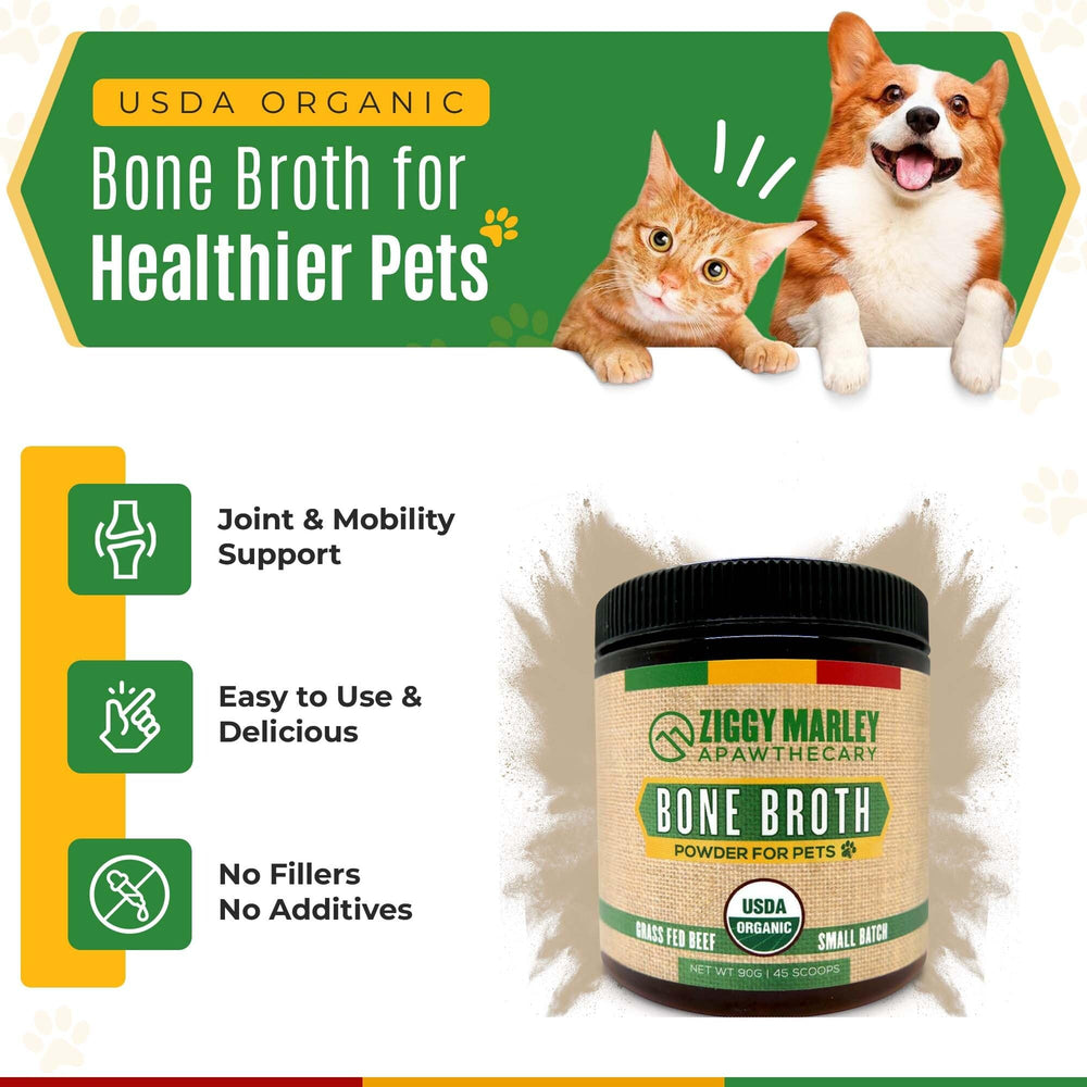 ZMA Pets Ziggy Marley bone broth powder jar—easy sprinkle for digestive wellness