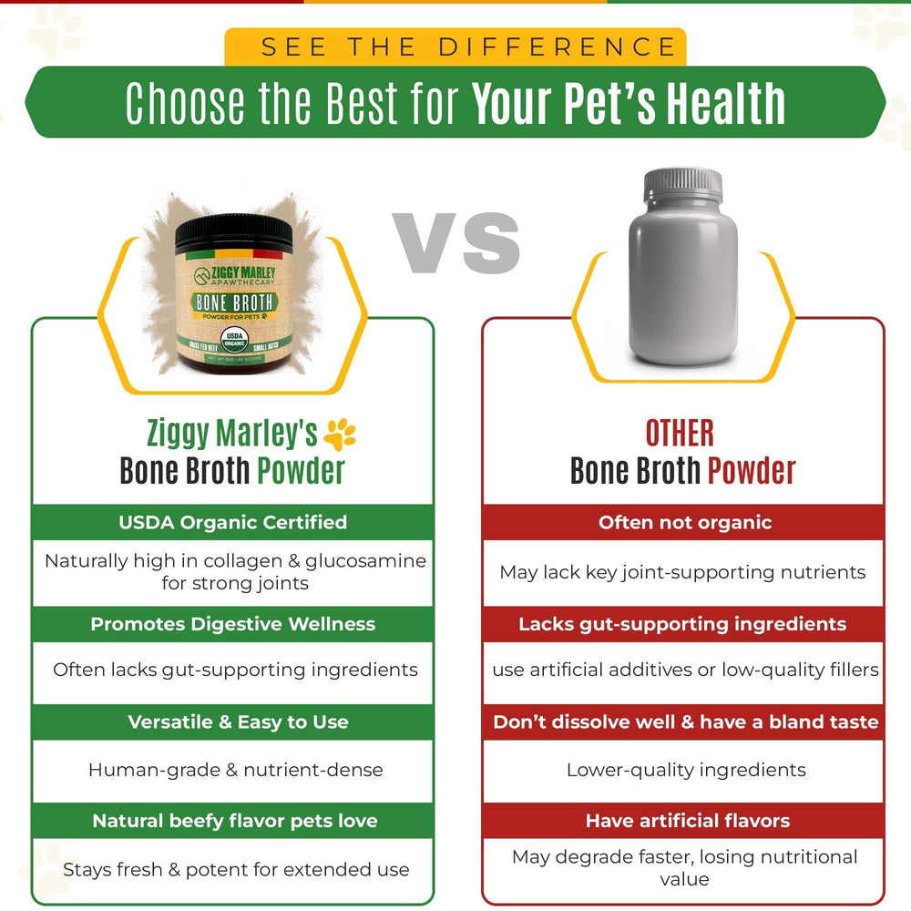 ZMA Pets Ziggy Marley served bowl—possible coat and skin benefits with daily use