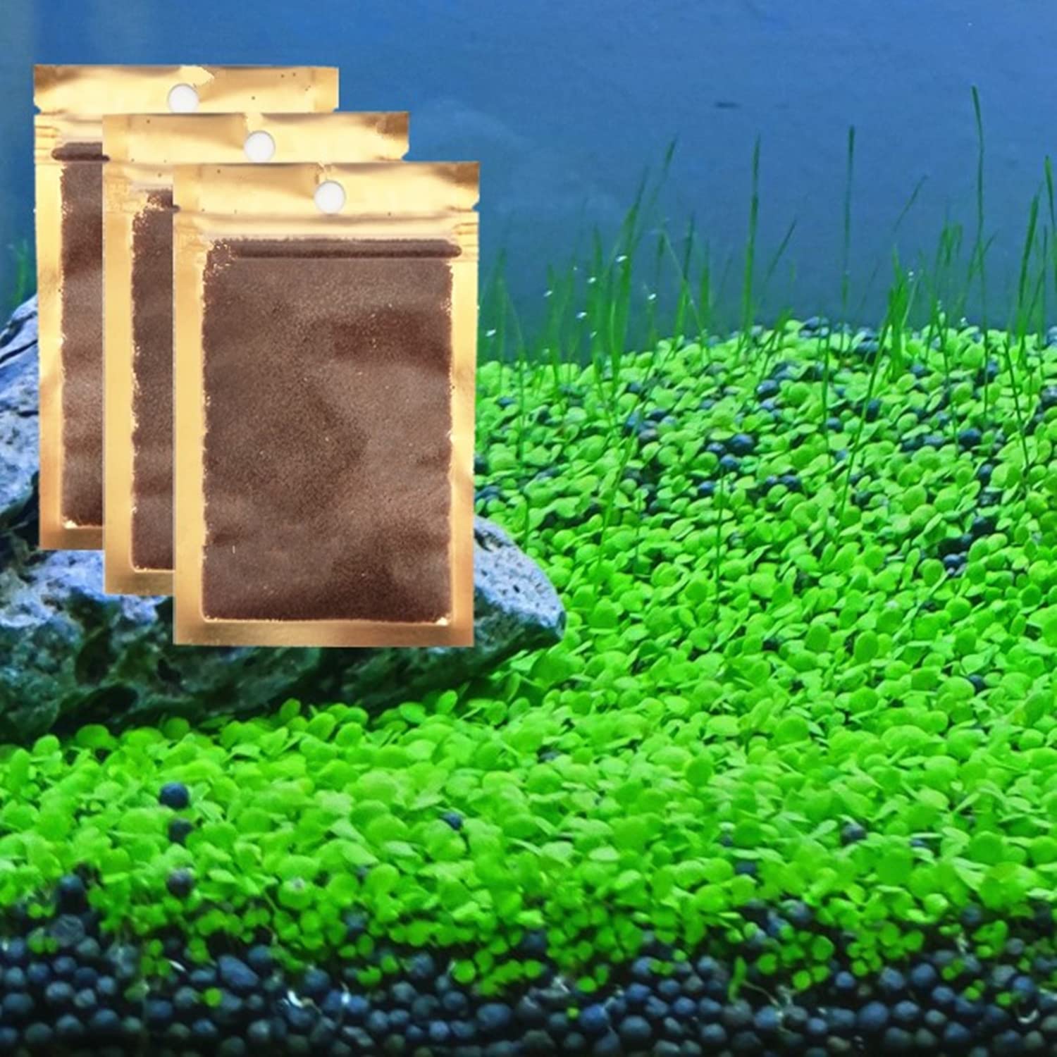 ZMMM998 aquarium seed set packaging for easy start in freshwater tanks, habitat creation.