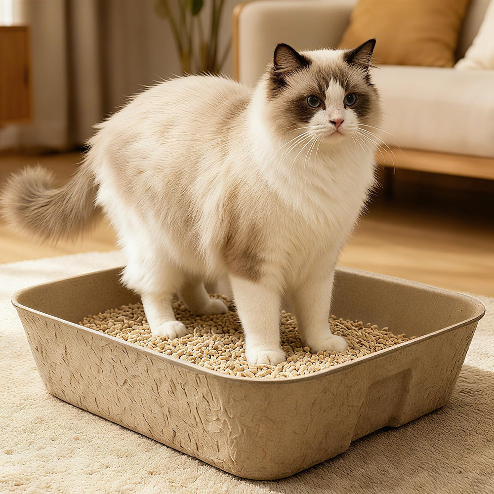 Zmpkhba versatile indoor-outdoor litter box for home trips and outings