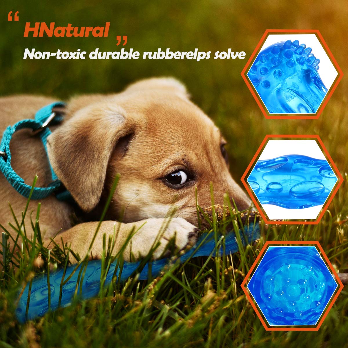 ZNOKA bone toy for reliable retrieval and engagement in yard or pool.