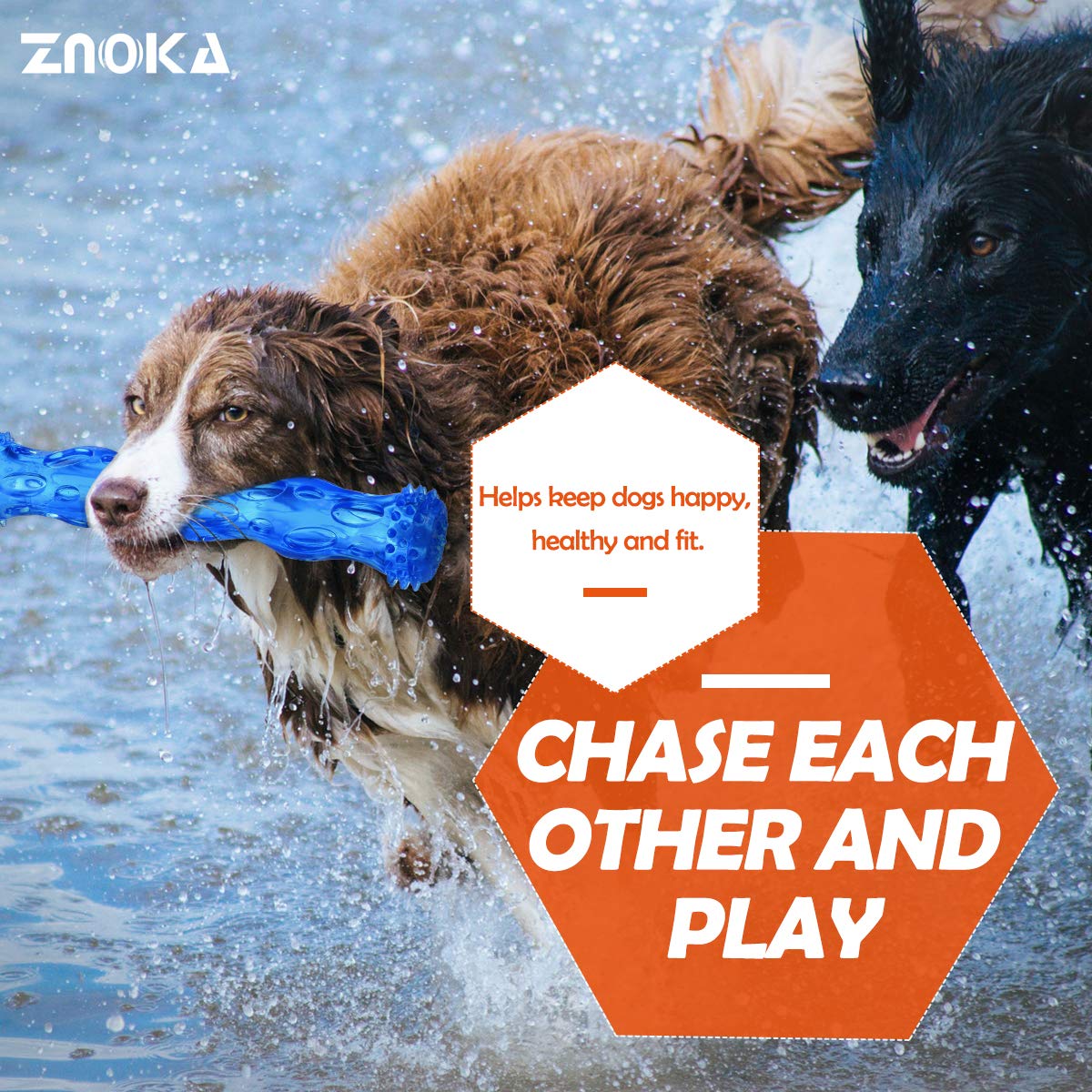 ZNOKA dog toy designed for powerful chewers with floating versatility outdoors.