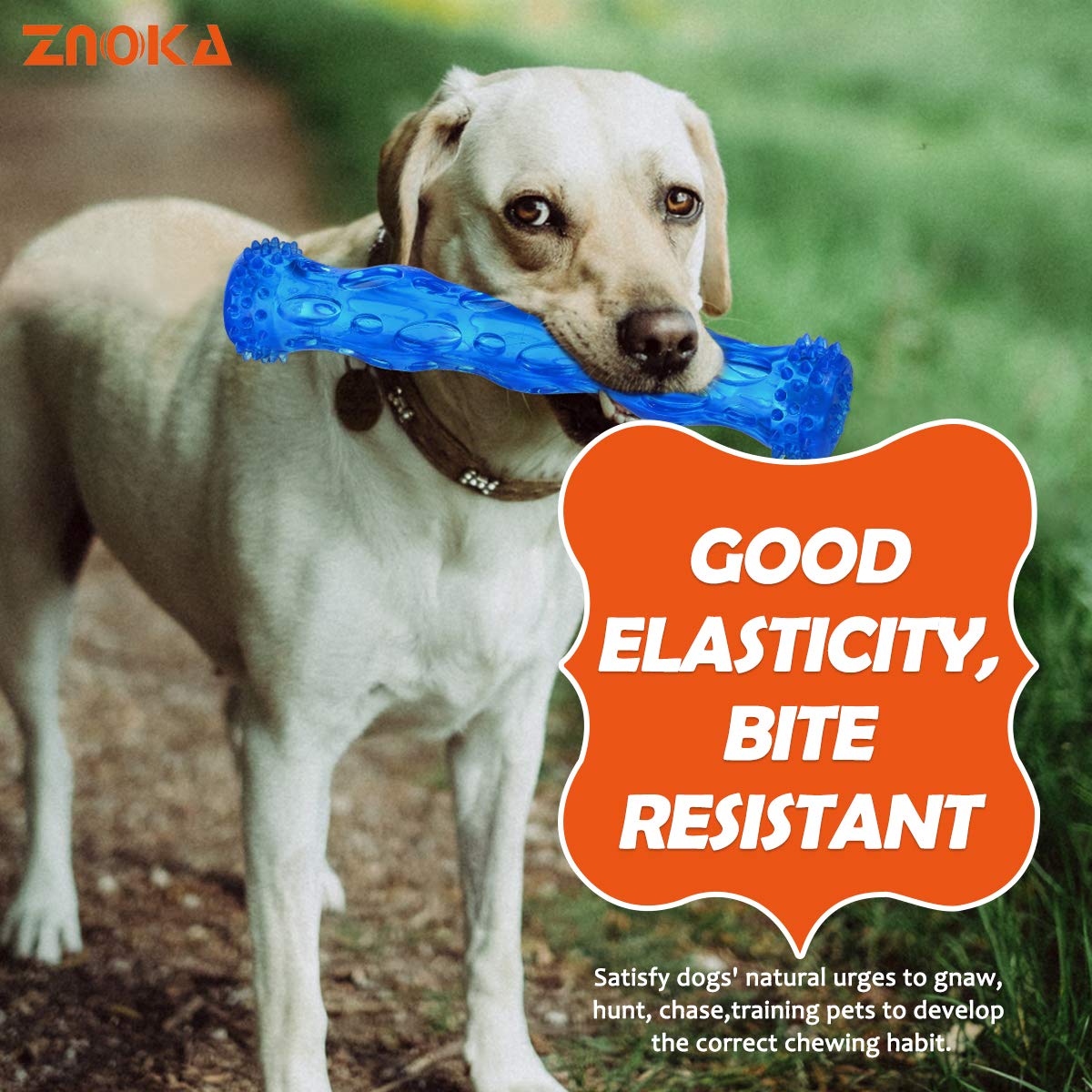 ZNOKA dental-cleaning-inspired chew toy supports long-lasting chew sessions.