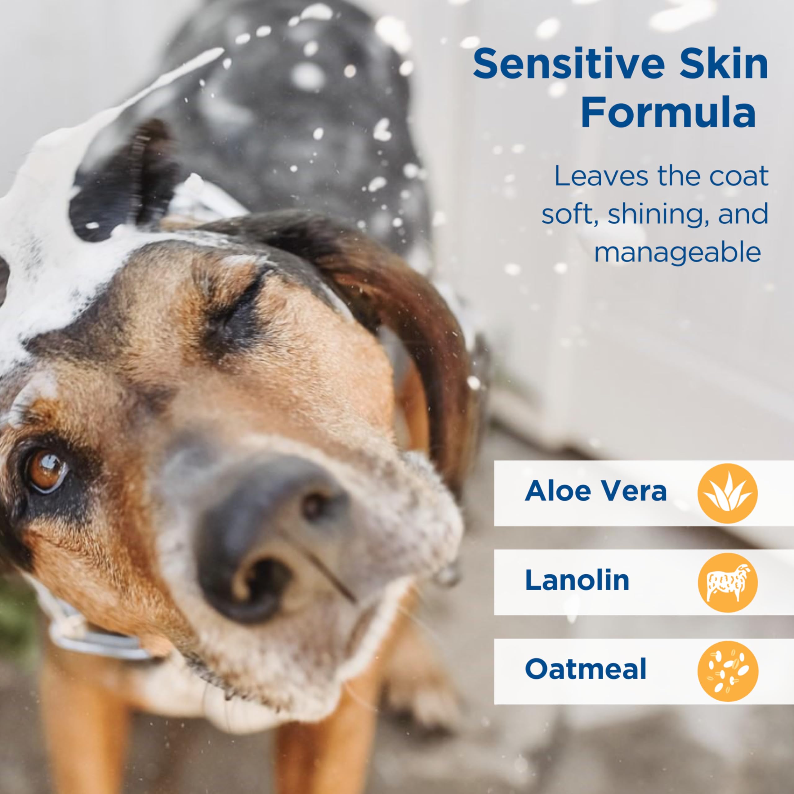 Zodiac Oatmeal Conditioning Shampoo foaming suds for thorough coat cleansing