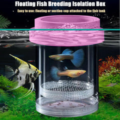 Zoewan breeder box installed in aquarium illustrating simple setup for beginners.