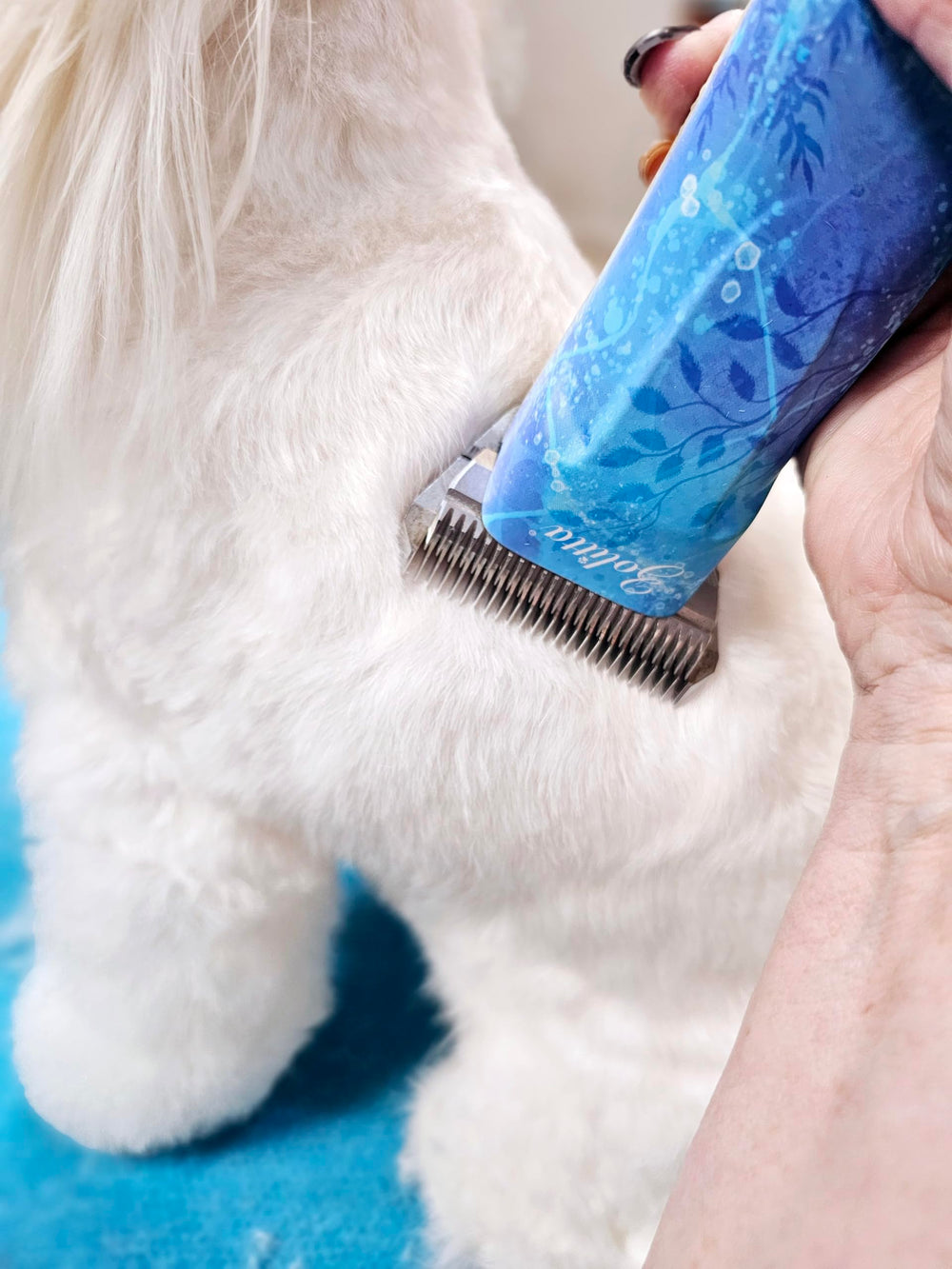 ZOLITTA 4FW wide blade heat-dispersion for cooler grooming sessions