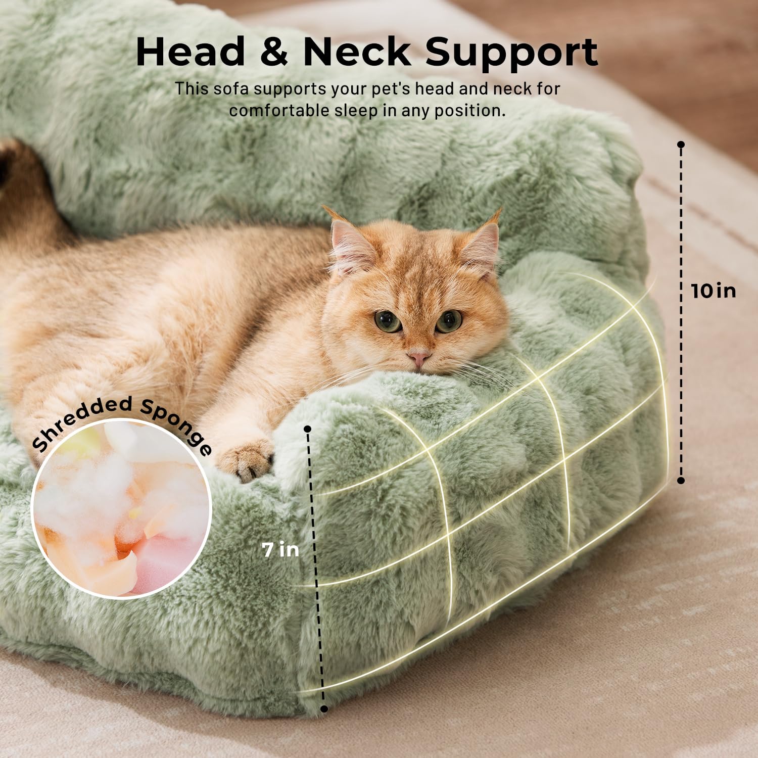 ZOMISIA cat couch bed egg-foam support demonstrates targeted head and neck relief for cats