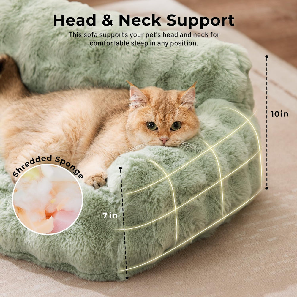 ZOMISIA cat couch bed egg-foam support demonstrates targeted head and neck relief for cats