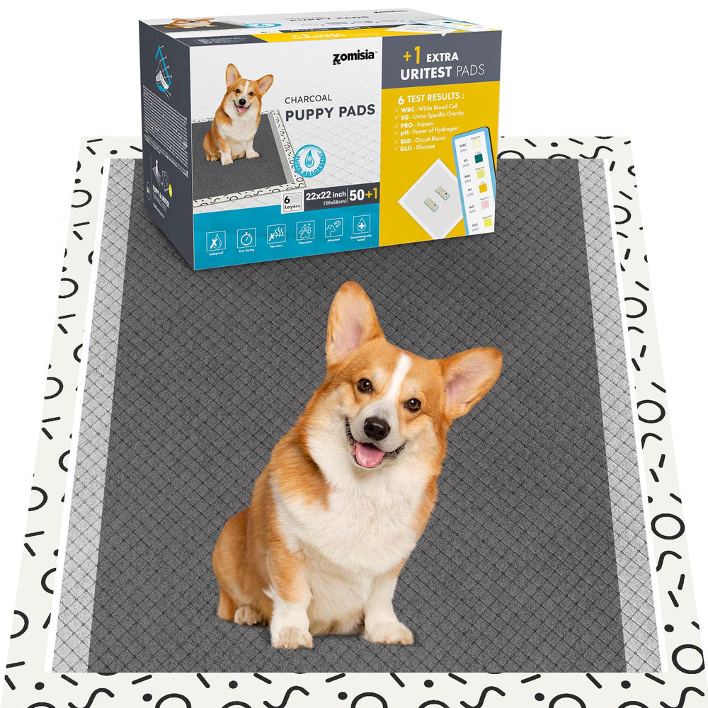 ZOMISIA charcoal puppy pee pad 22x22 shows odor-control and floor protection in use.