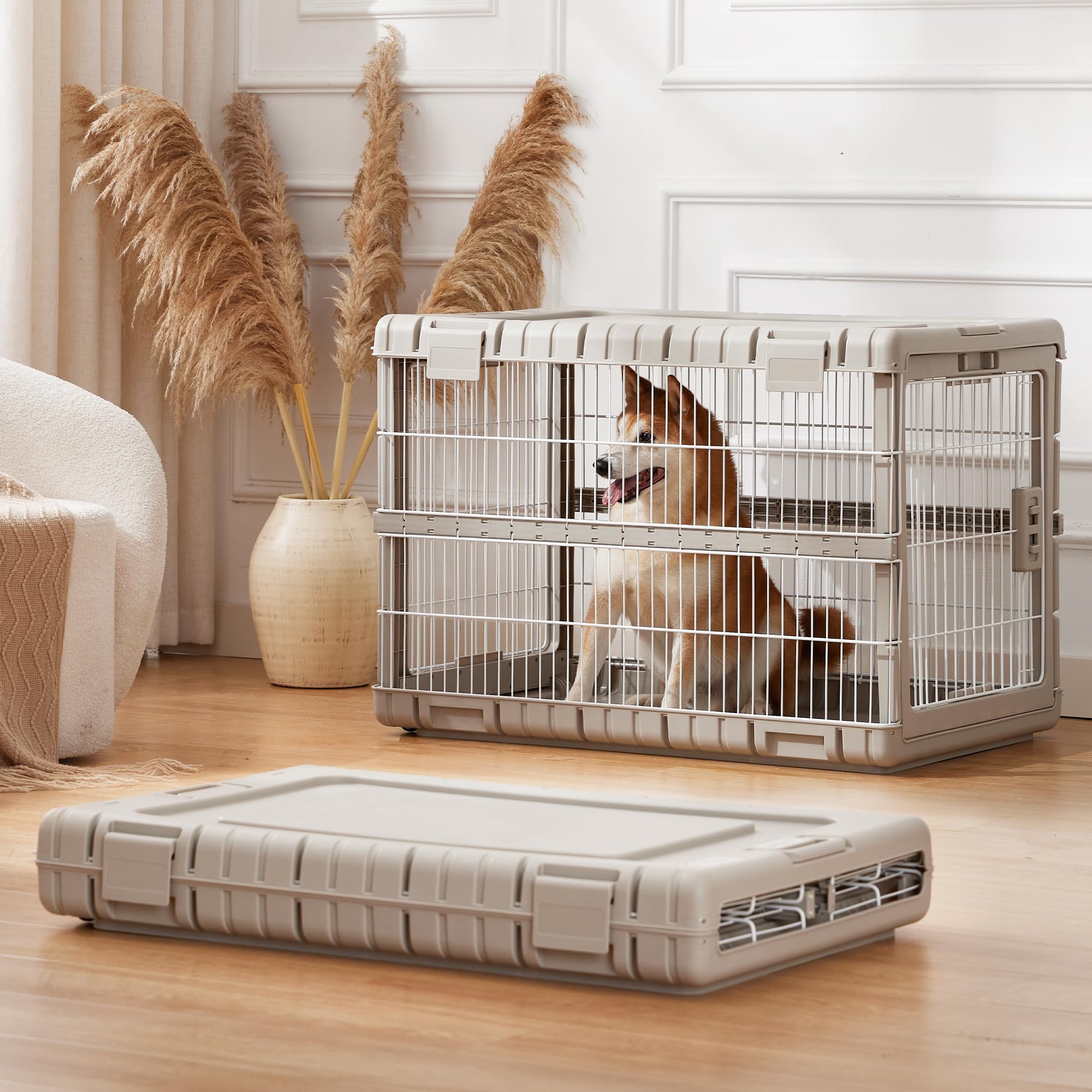ZOMISIA 36inch open crate interior showing roomy space for large dogs