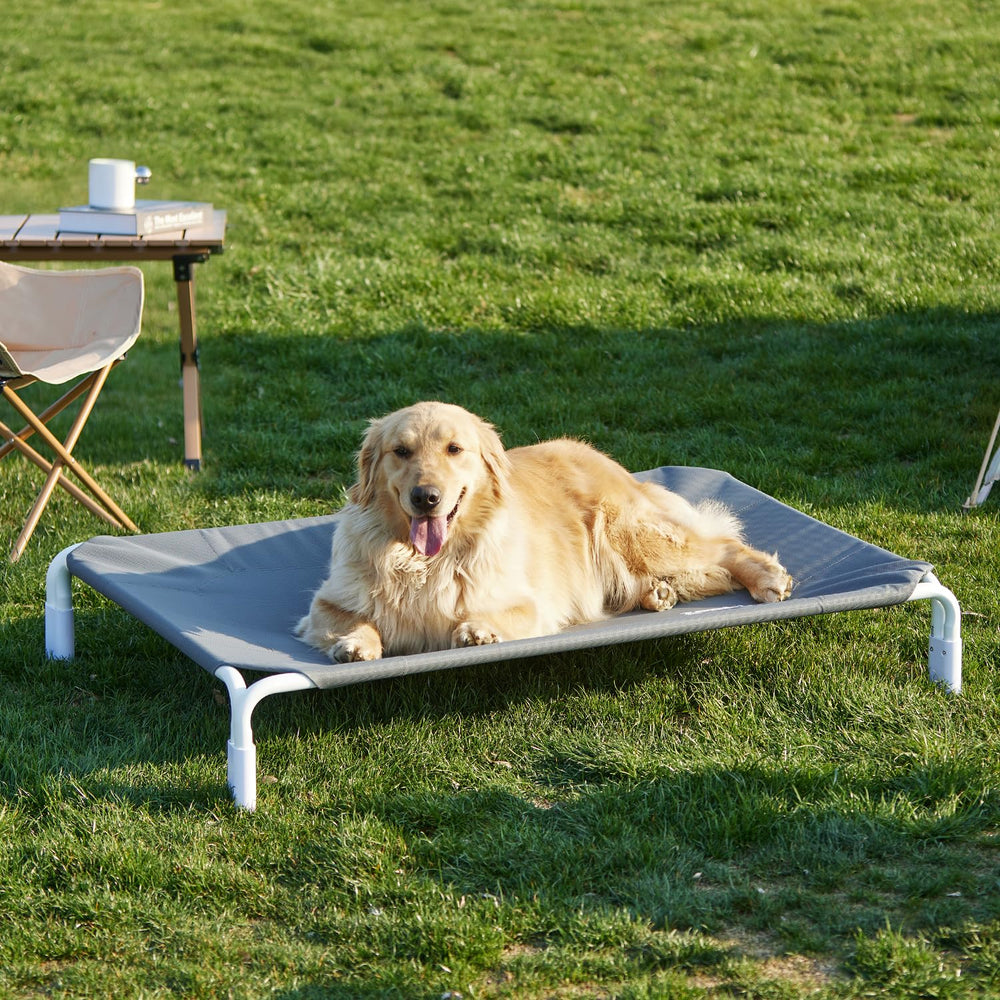 ZOMISIA elevated frame keeps dirt away from paws and simplifies cleaning.