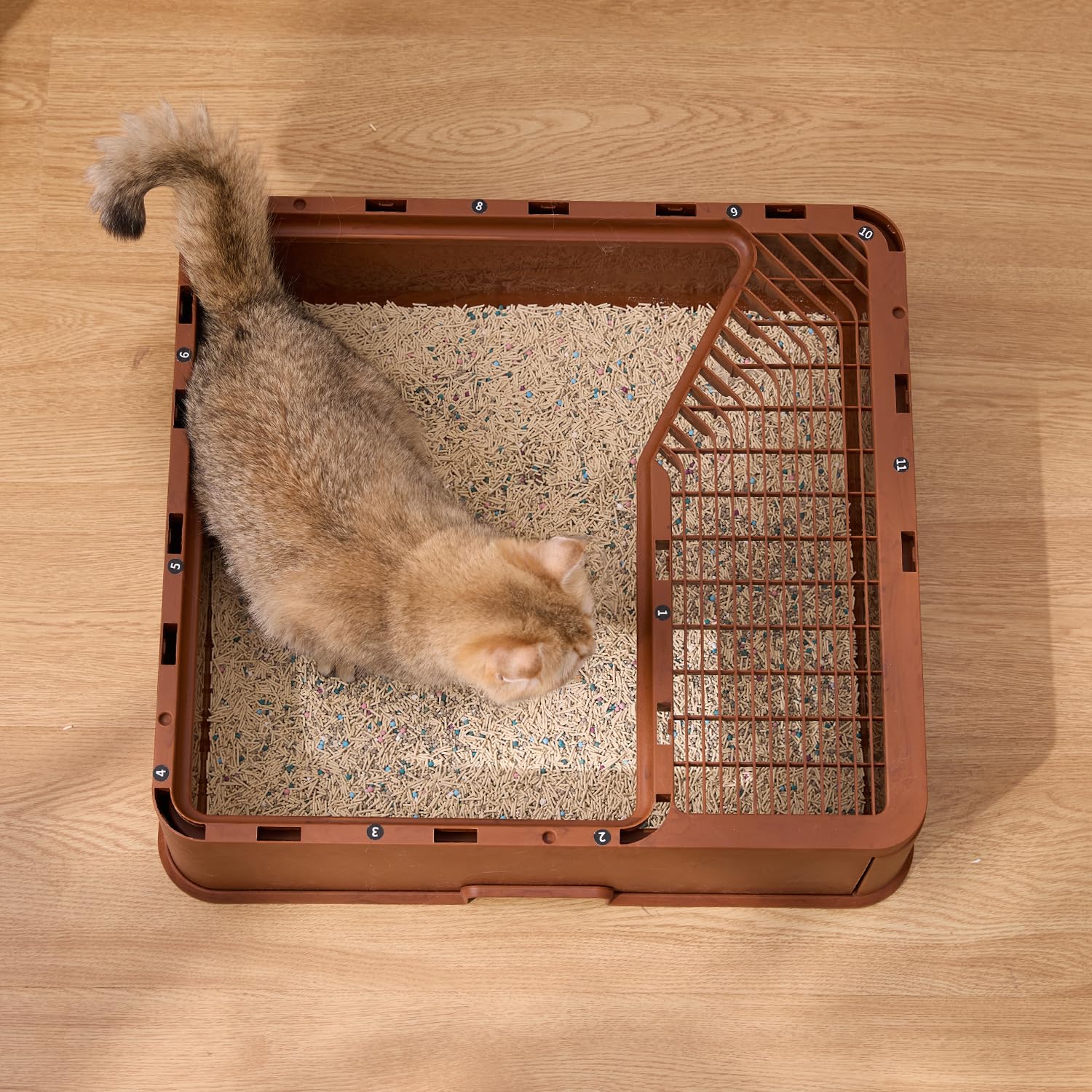 ZOMISIA drawer removes waste easily for quick litter maintenance.