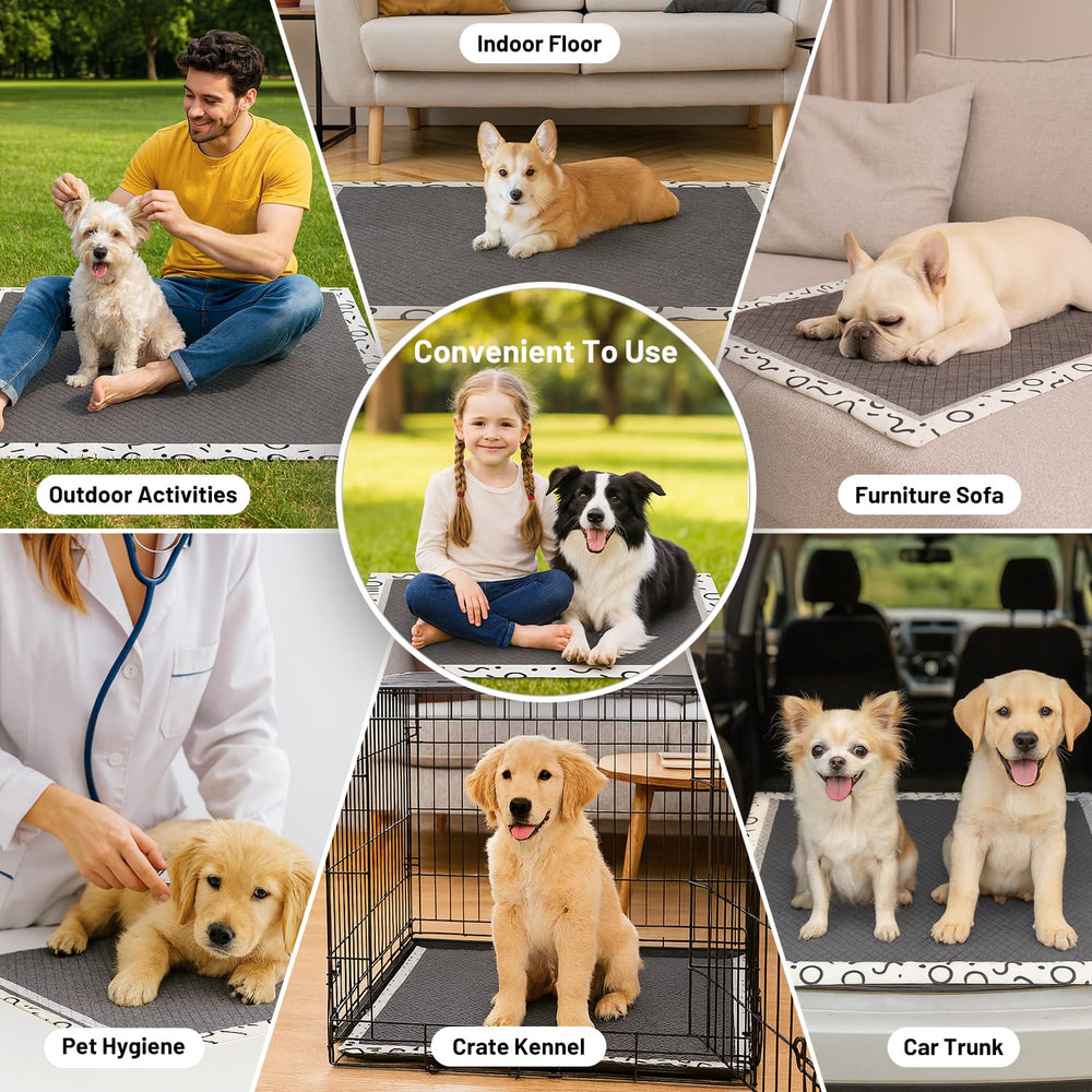 ZOMISIA Pack includes 50 pads plus an extra health-monitoring pad for convenience.