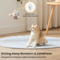 ZOMISIA USB recharge design enables quick, cordless play sessions.