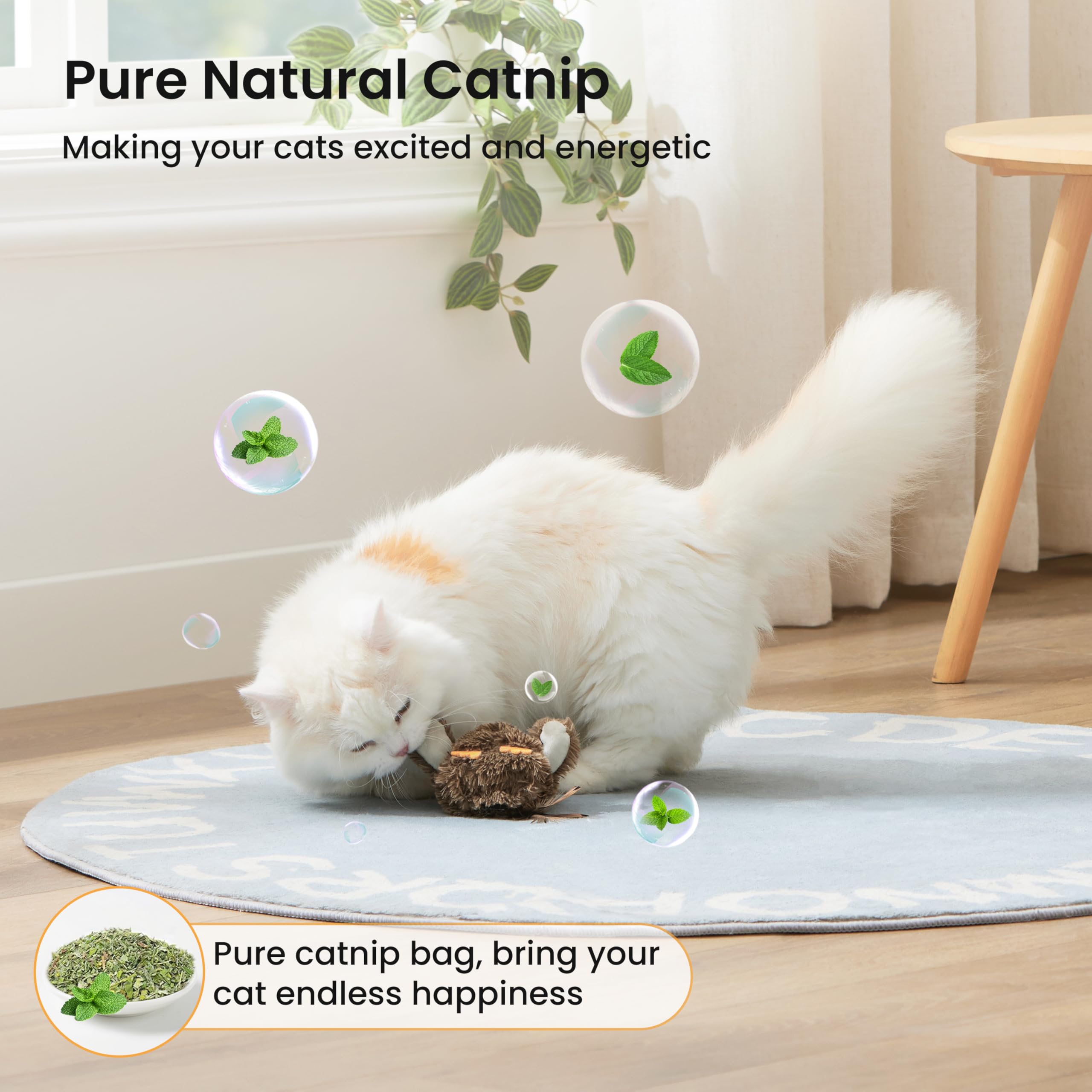 ZOMISIA Flappy Bird Toy suction cup enables wall or window mounting.