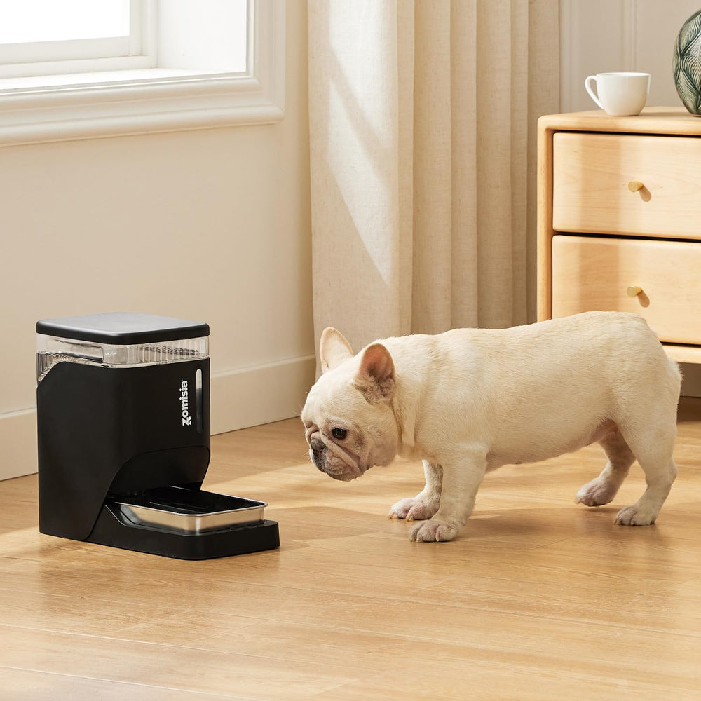 ZOMISIA gravity cat water dispenser easy-clean design with simple maintenance.