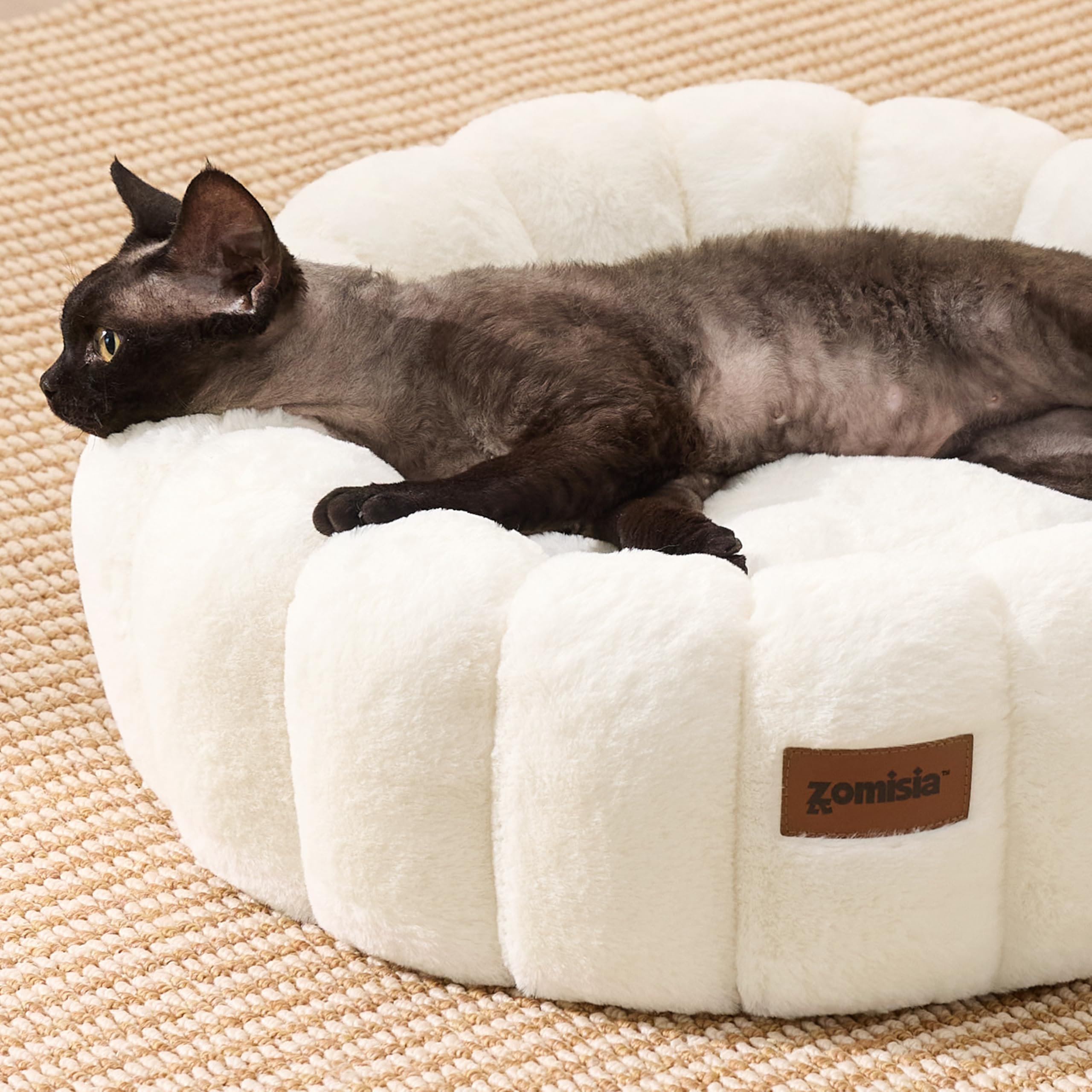ZOMISIA plush fabric bed offers ultra-soft comfort and warmth.