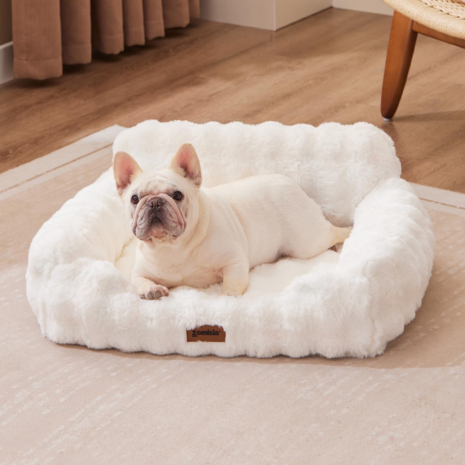 ZOMISIA Small Dog Sofa with egg-foam supports restful naps and head comfort.
