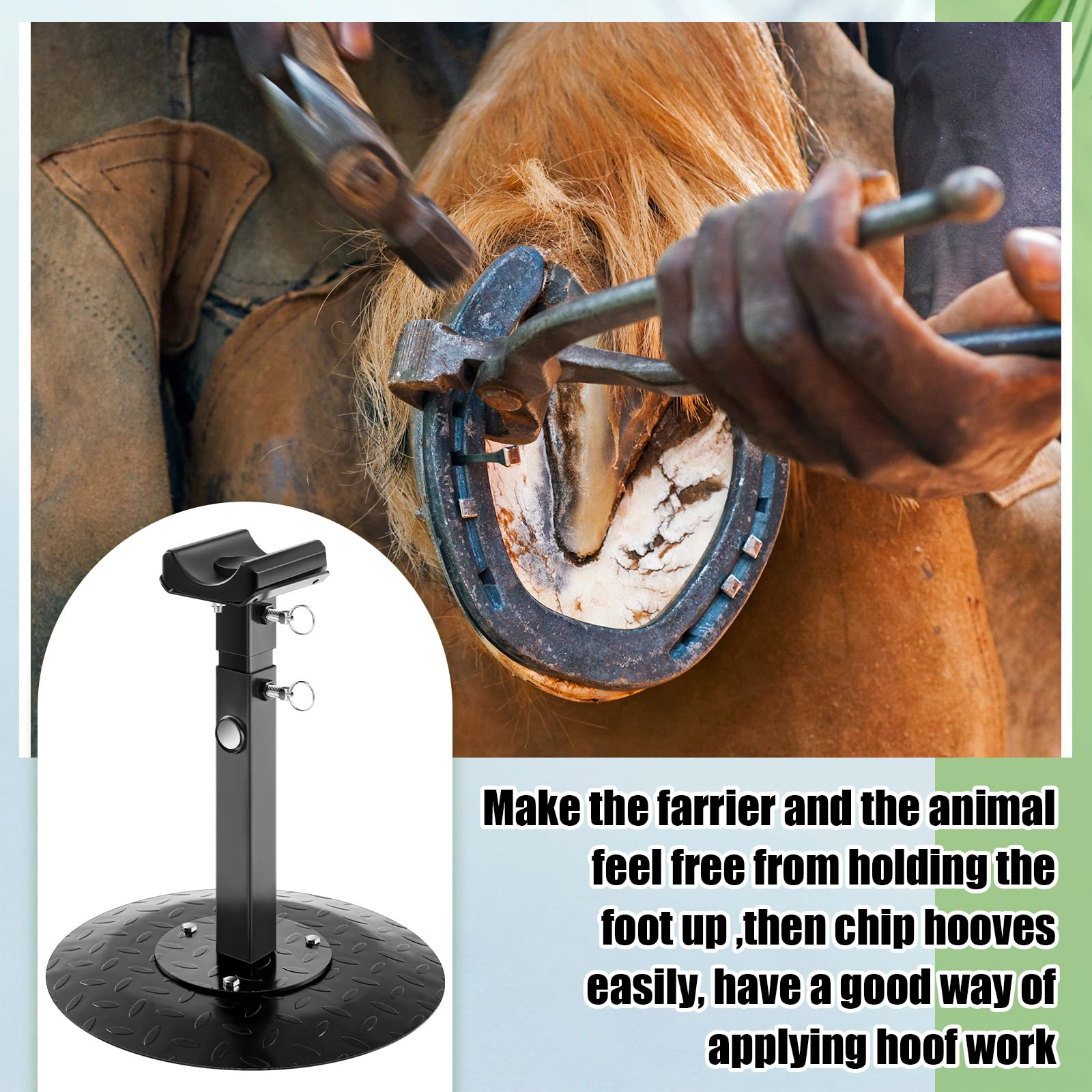 Zonon compact farrier stand fits small spaces and busy clinics.