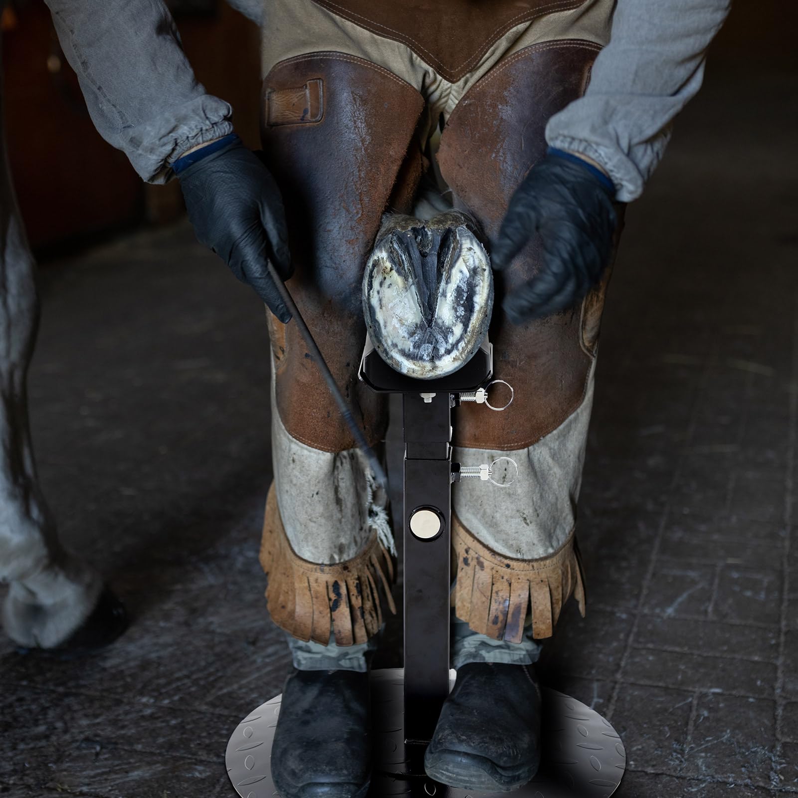 Zonon farrier stand in a barn ready for multi-animal hoof maintenance.