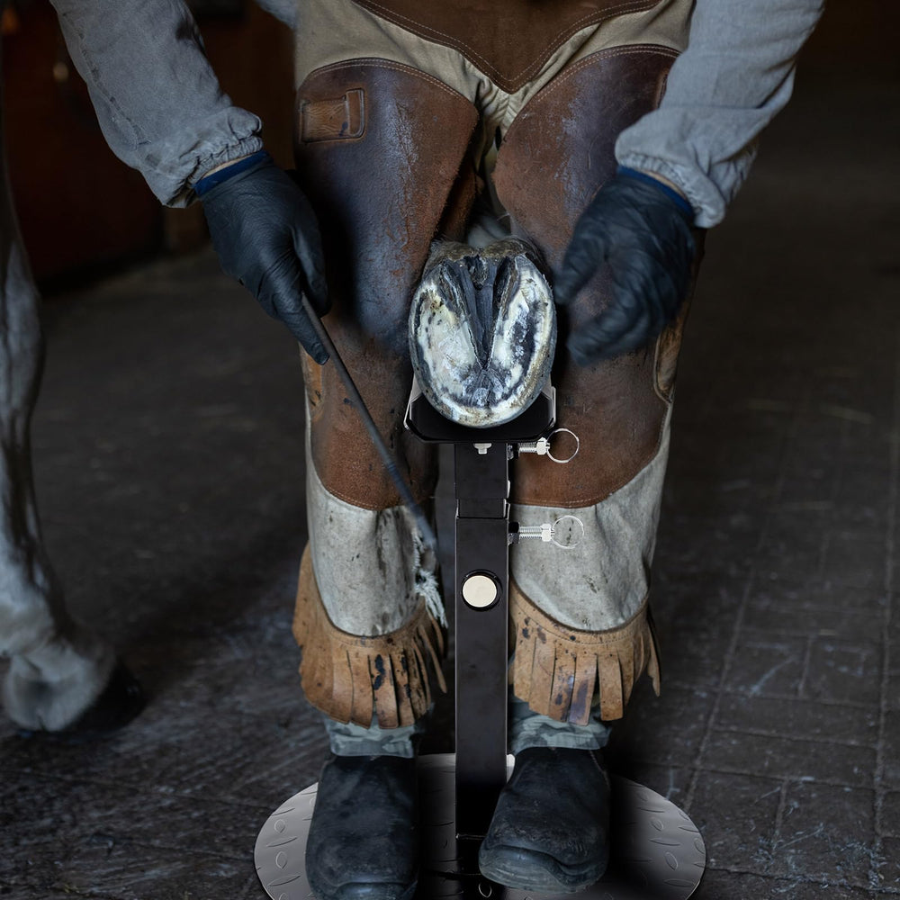 Zonon farrier stand in a barn ready for multi-animal hoof maintenance.