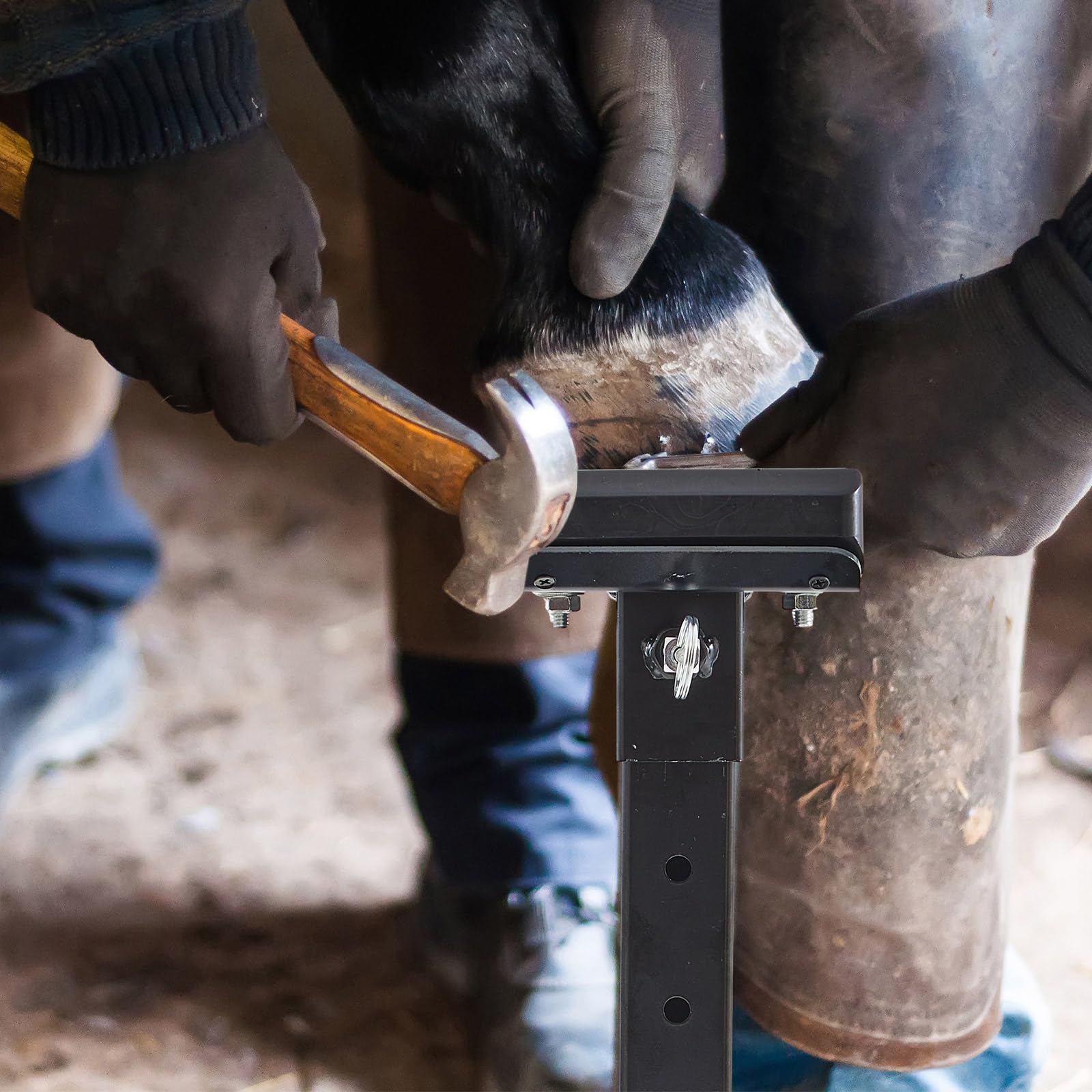 Zonon farrier stand packaging includes 1 stand for easy setup.