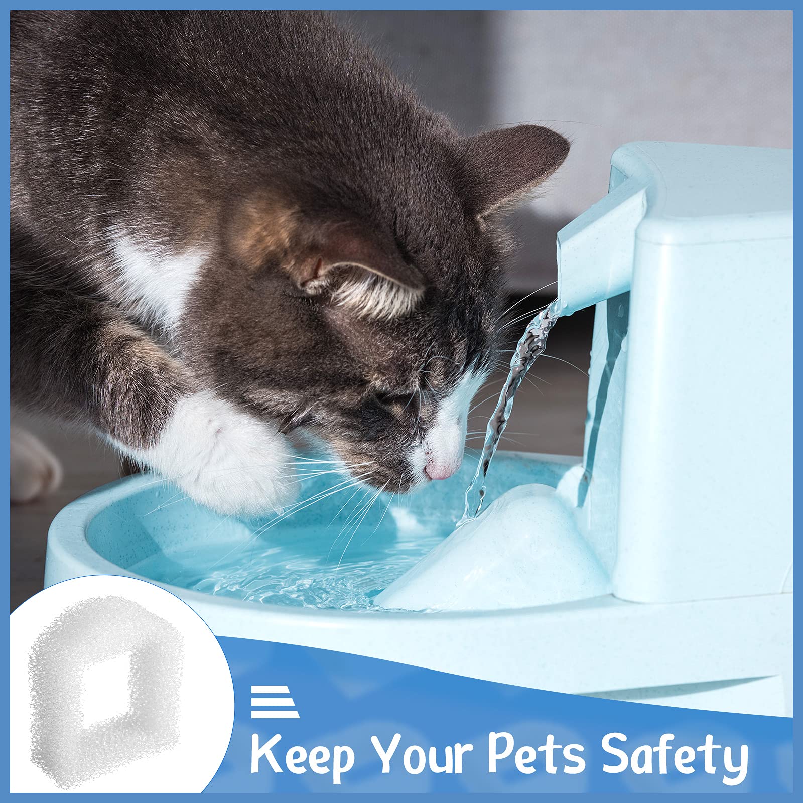 Zonon-pets-enjoy-refreshing-water—encourages hydration during playtime.