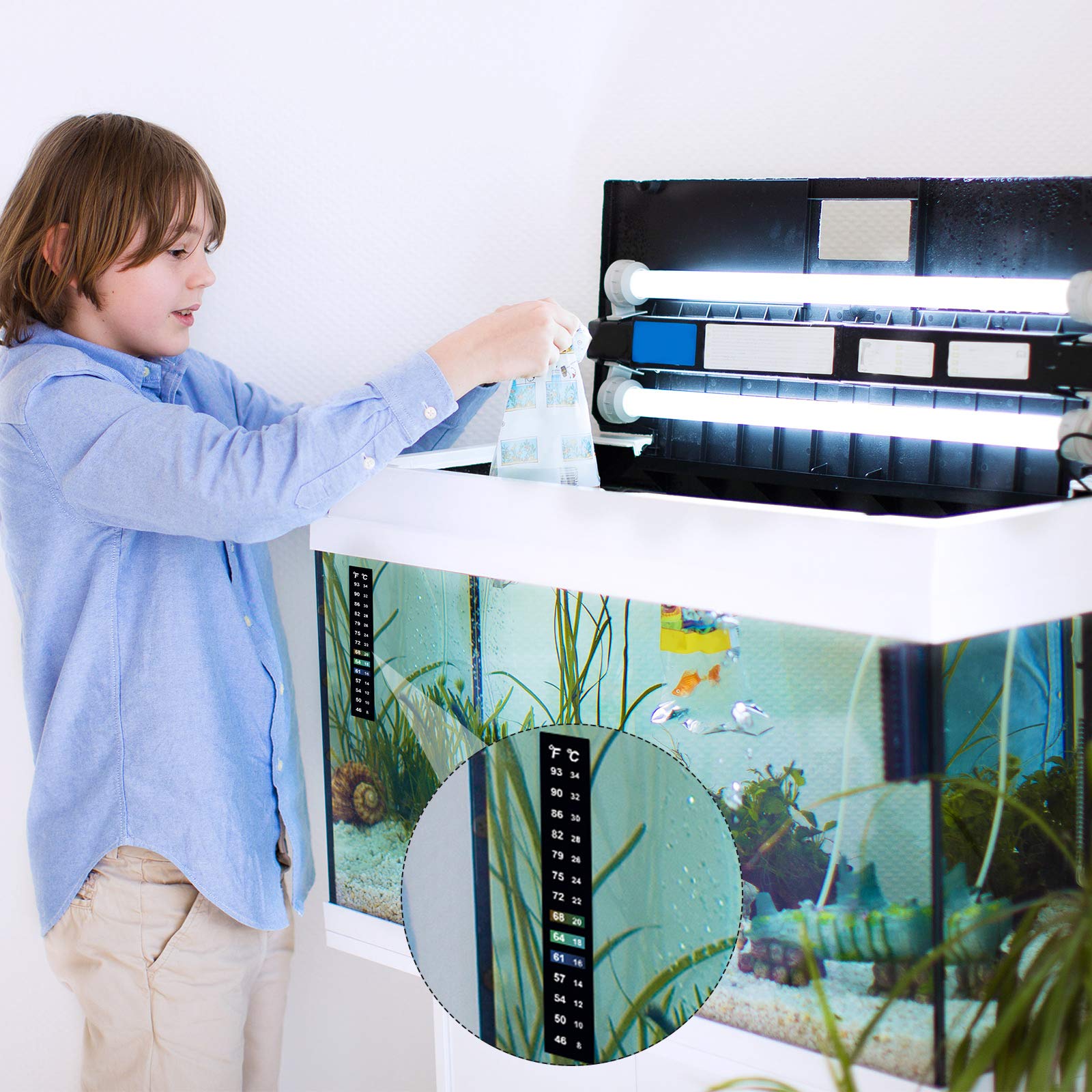 Zonon versatile strip supports wine, beer, and fermentation projects at home