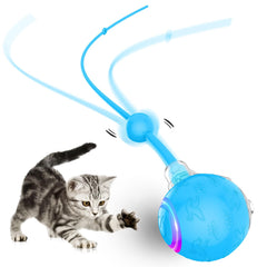 Zonopy Interactive Cat Ball demonstrates fast-rolling action on carpet for active play