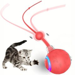Zonopy Interactive Cat Toy Ball speeds across carpet for energetic indoor play.