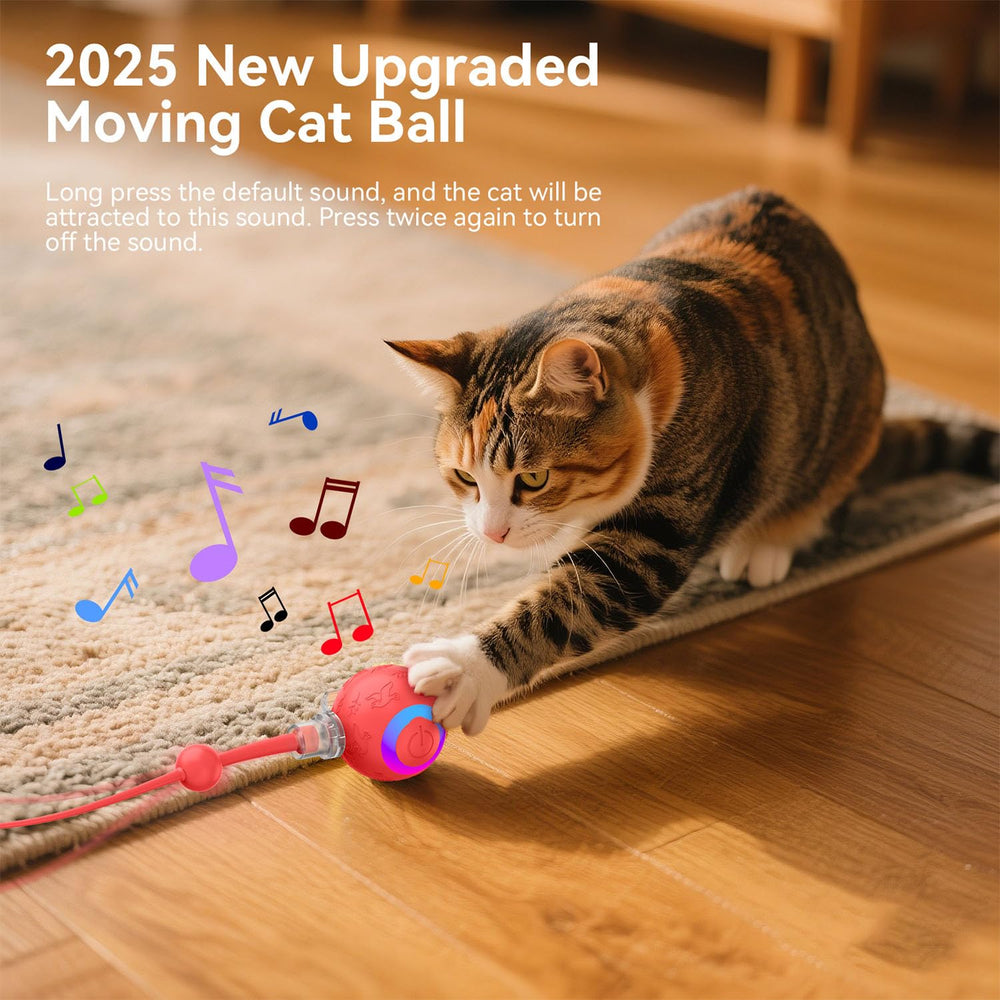 Zonopy Interactive Cat Toy Ball offers three modes for varied play sessions.