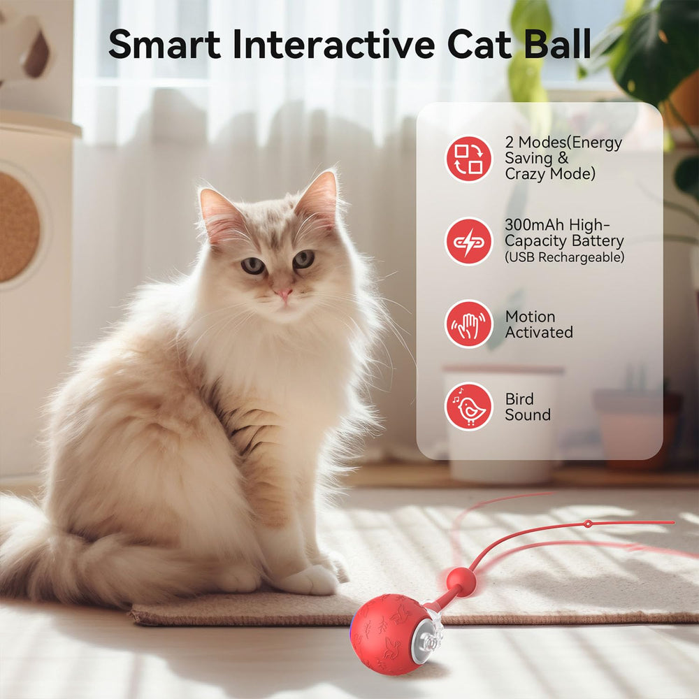 Zonopy Interactive Cat Toy Ball wake-on-pat feature starts play instantly.
