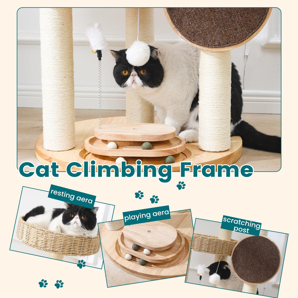 Zonoria Zephyria multi-level cat tree house enabling safe exploration and retreat.