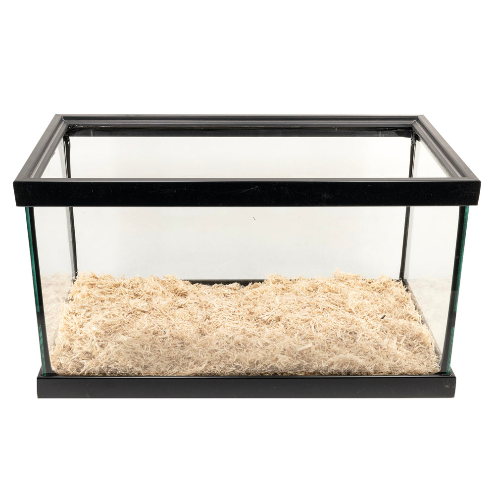 Zoo Med Aspen bedding renewable green resources highlight sustainable reptile care.