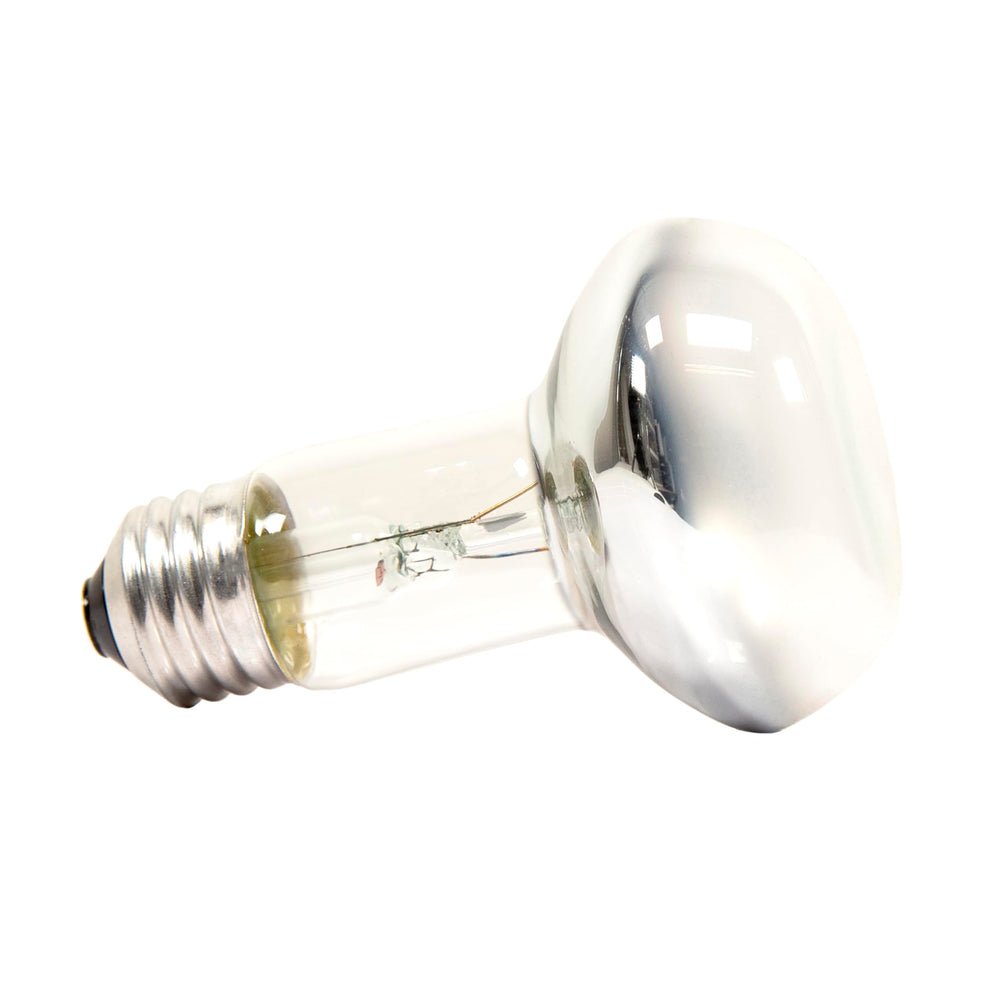 Zoo Med Basking Spot Lamp 75W Pack lit inside terrarium basking zone.