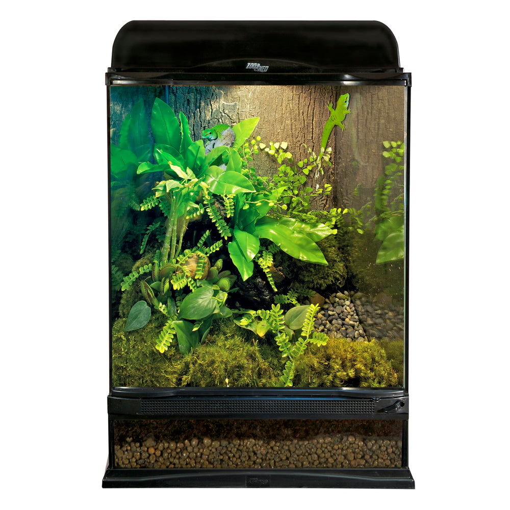 Zoo Med daylight blue bulb setup demo shows easy installation in reptile enclosures.