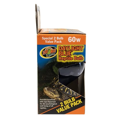 Zoo Med daylight blue reptile bulb in terrarium demonstrates blue daylight ambiance for natural viewing