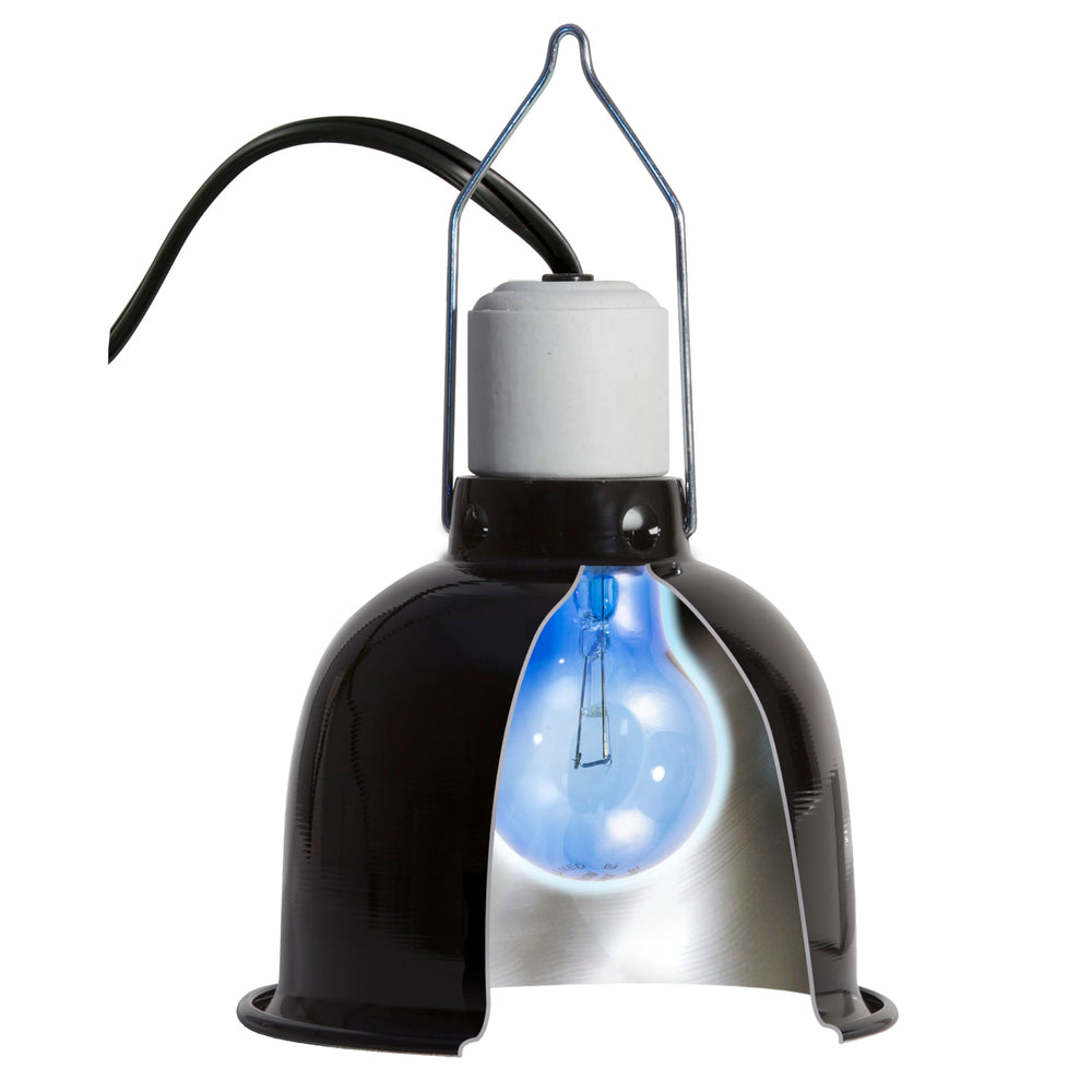 Zoo Med daylight blue reptile bulb product display emphasizes six bulbs ready for use