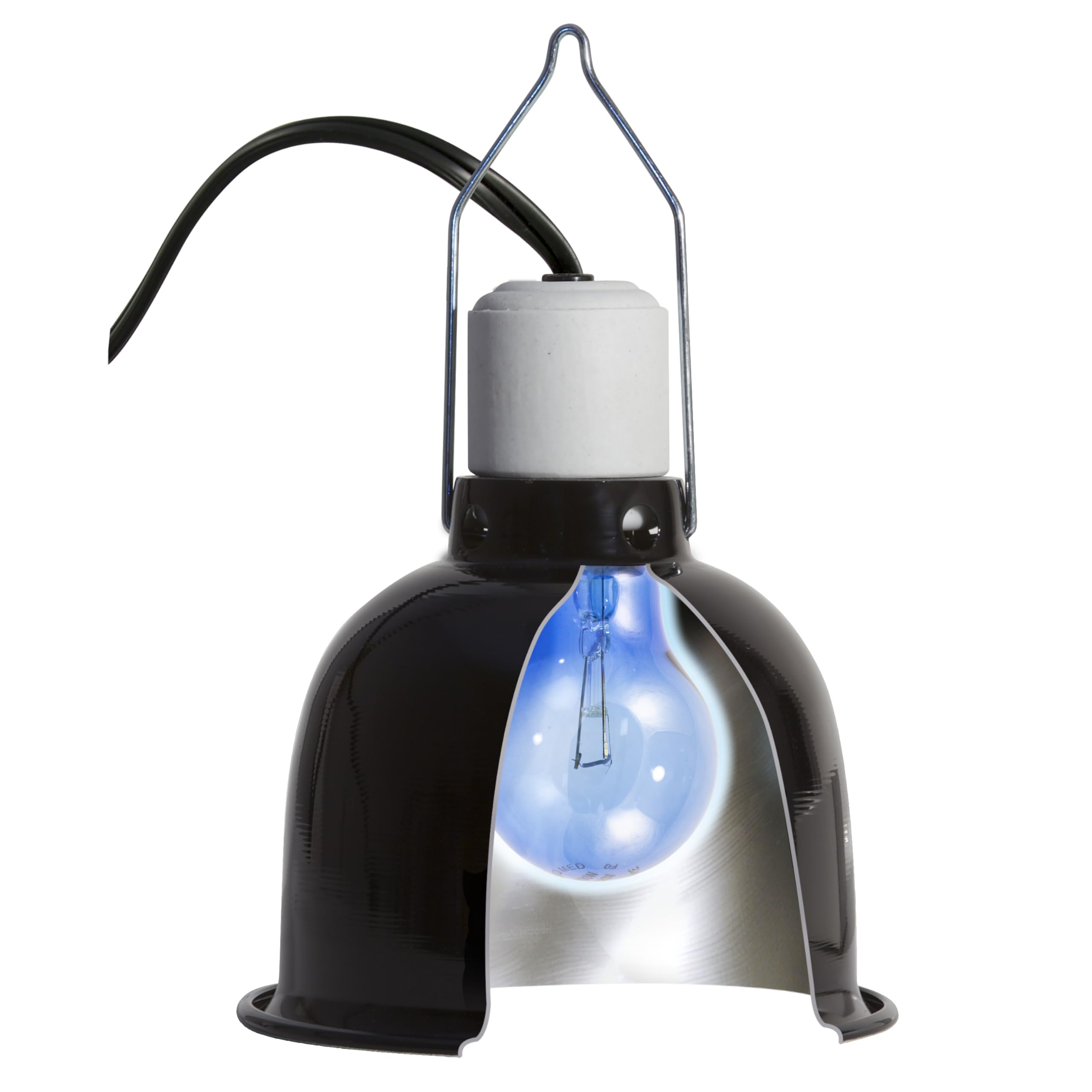Zoo Med Daylight Blue Reptile Bulb terrarium-setup ready for reliable lighting.