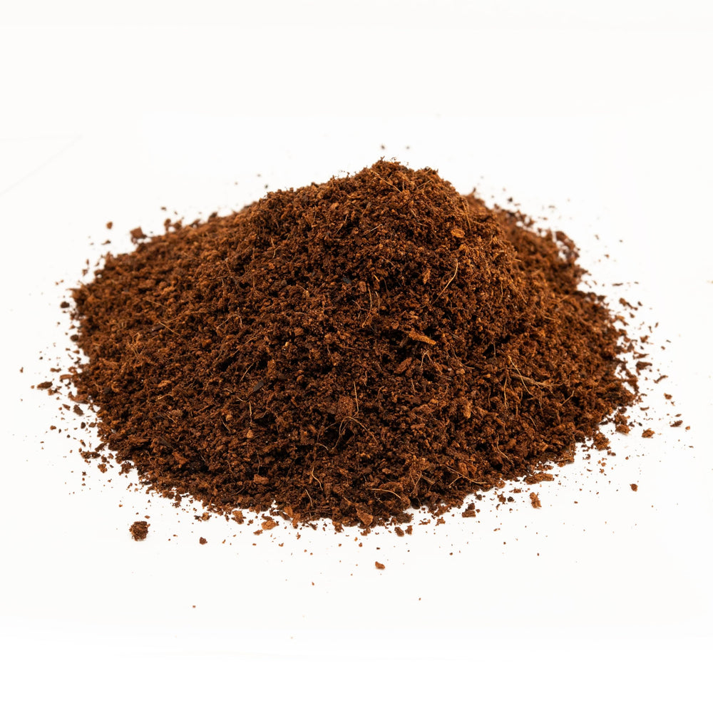 Zoo Med Eco Earth earth-friendly substrate safe for terrarium inhabitants.