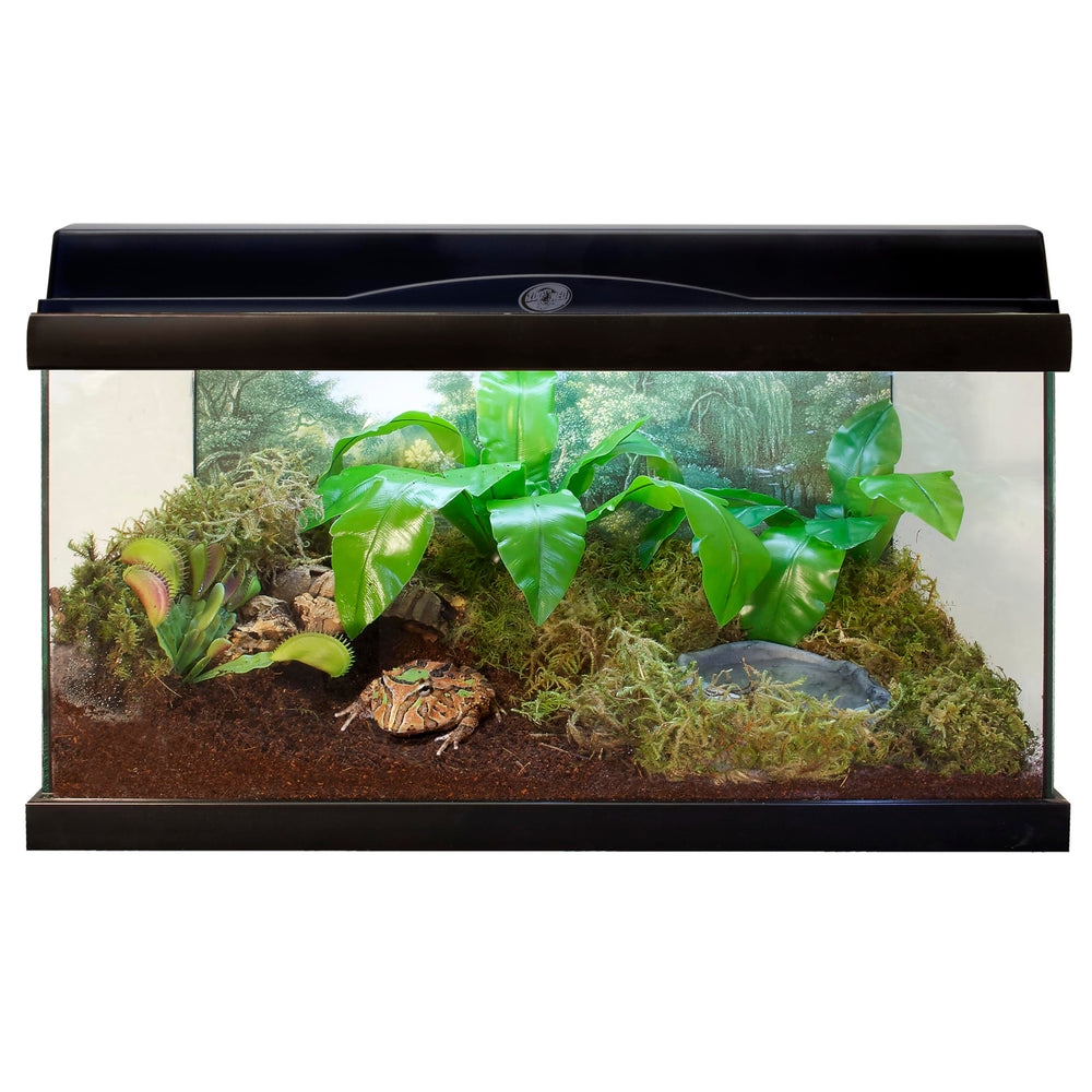 Multi-species bedding suitable for reptiles, amphibians, and insects.